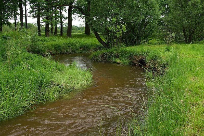 Karpnicka Struga W Dolinie Pałaców i Ogrodów Jelenia Góra Exterior foto
